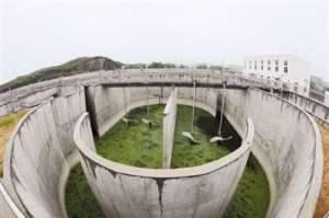 y(tng)I\M ˾˘I(y) ÄȫcĿߡٳǽO(sh)|(zh)̡^Ħ ...