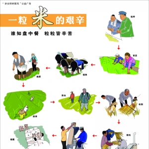 ׏V棬[] ֪ôС׏VoܛV