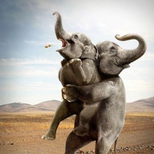 Є(chung)ďV(chung)V