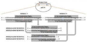 O(sh)Ӌ(j)PCRO(sh)Ӌ(j)Ļԭtʲô