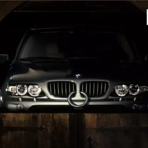 RVRĘ(bio)Z(y)ʲô