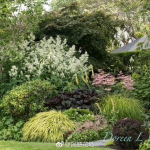 OӋo㲻һӵĻʢ(OӋ˾@Č)